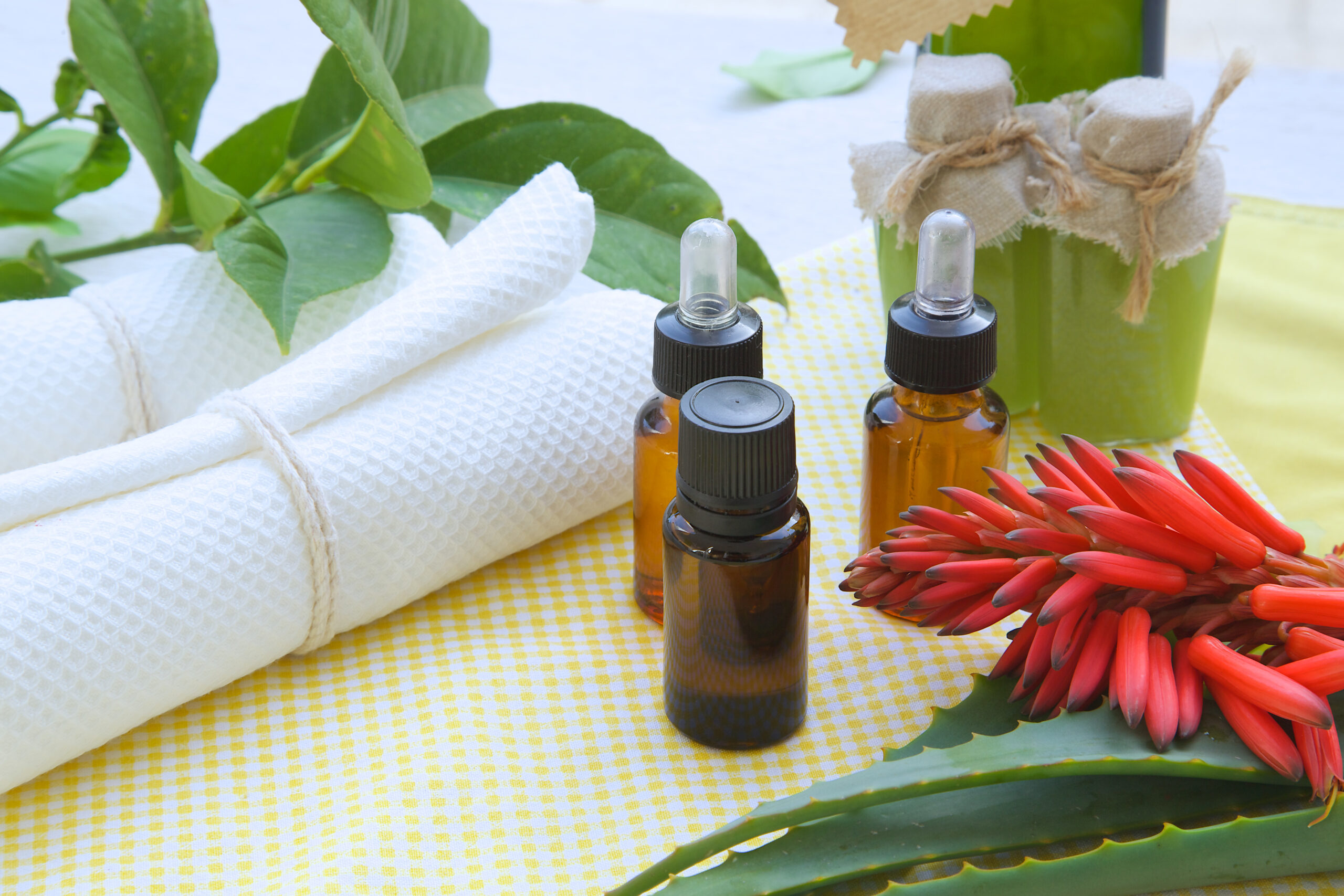 Digestive Enzymes